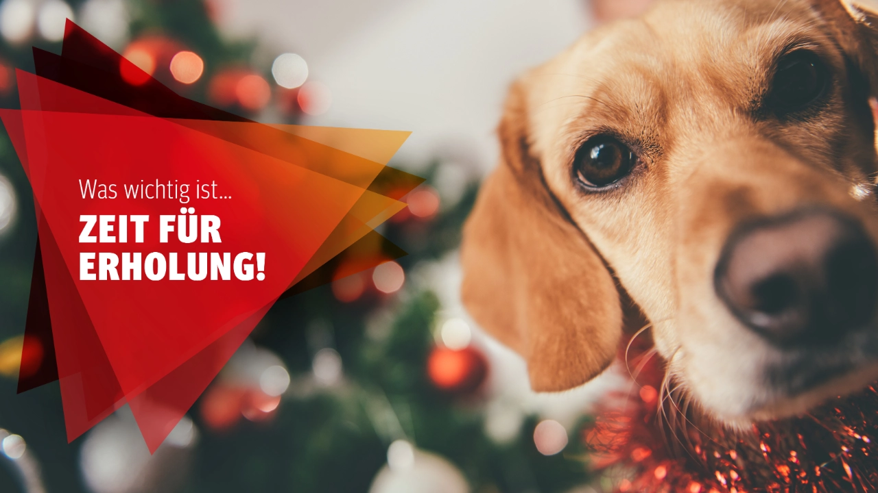 Weihnachtsgrüße Küste