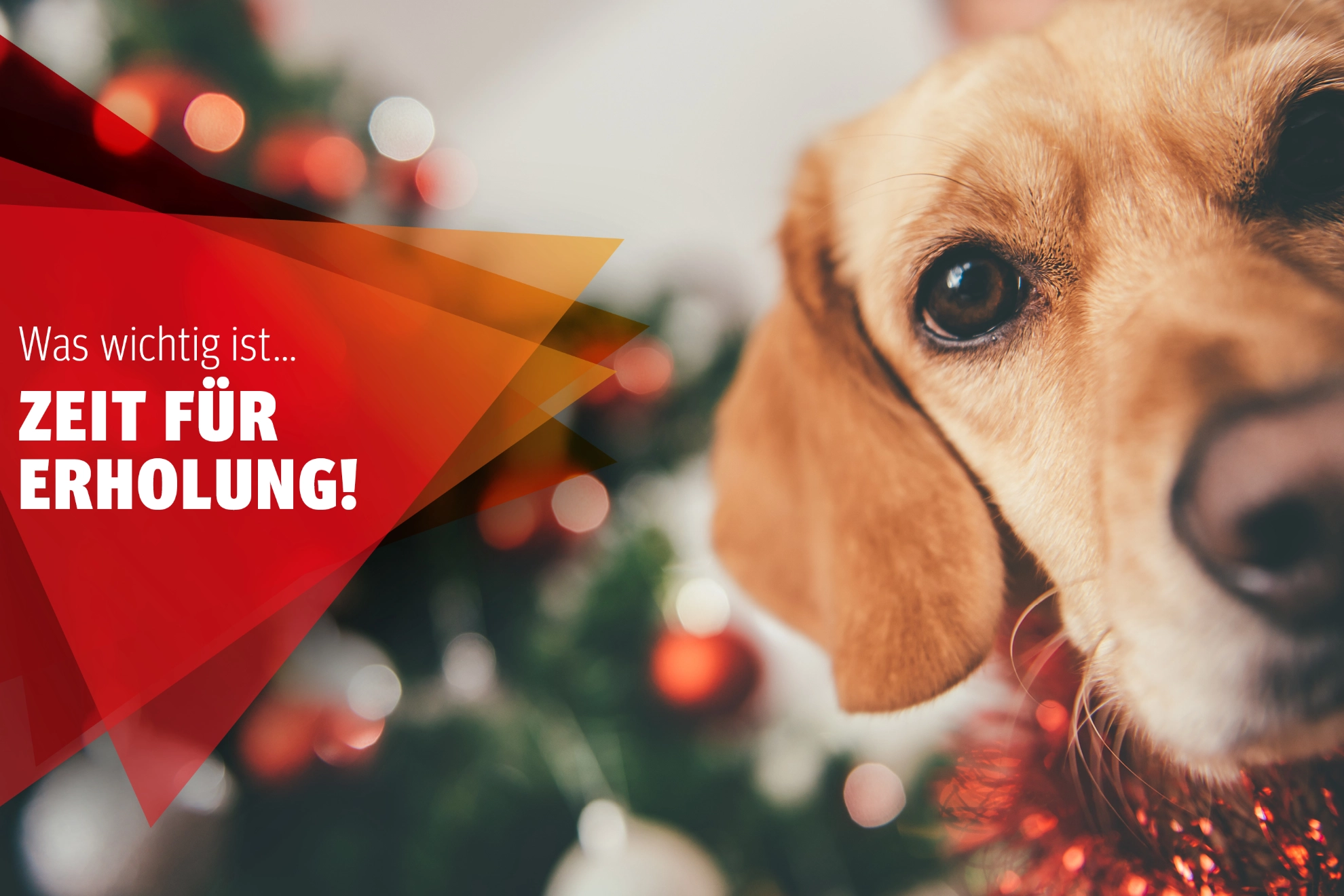 Weihnachtsgrüße Küste